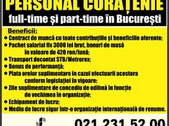 Agenti curatenie in Bucuresti